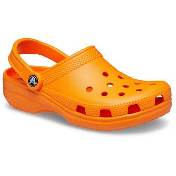 Crocs Classic Clog Men's Shoes Orange | Australia 0680RVDW